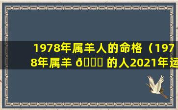 1978年属羊人的命格（1978年属羊 🐞 的人2021年运势及运程 🌷 ）
